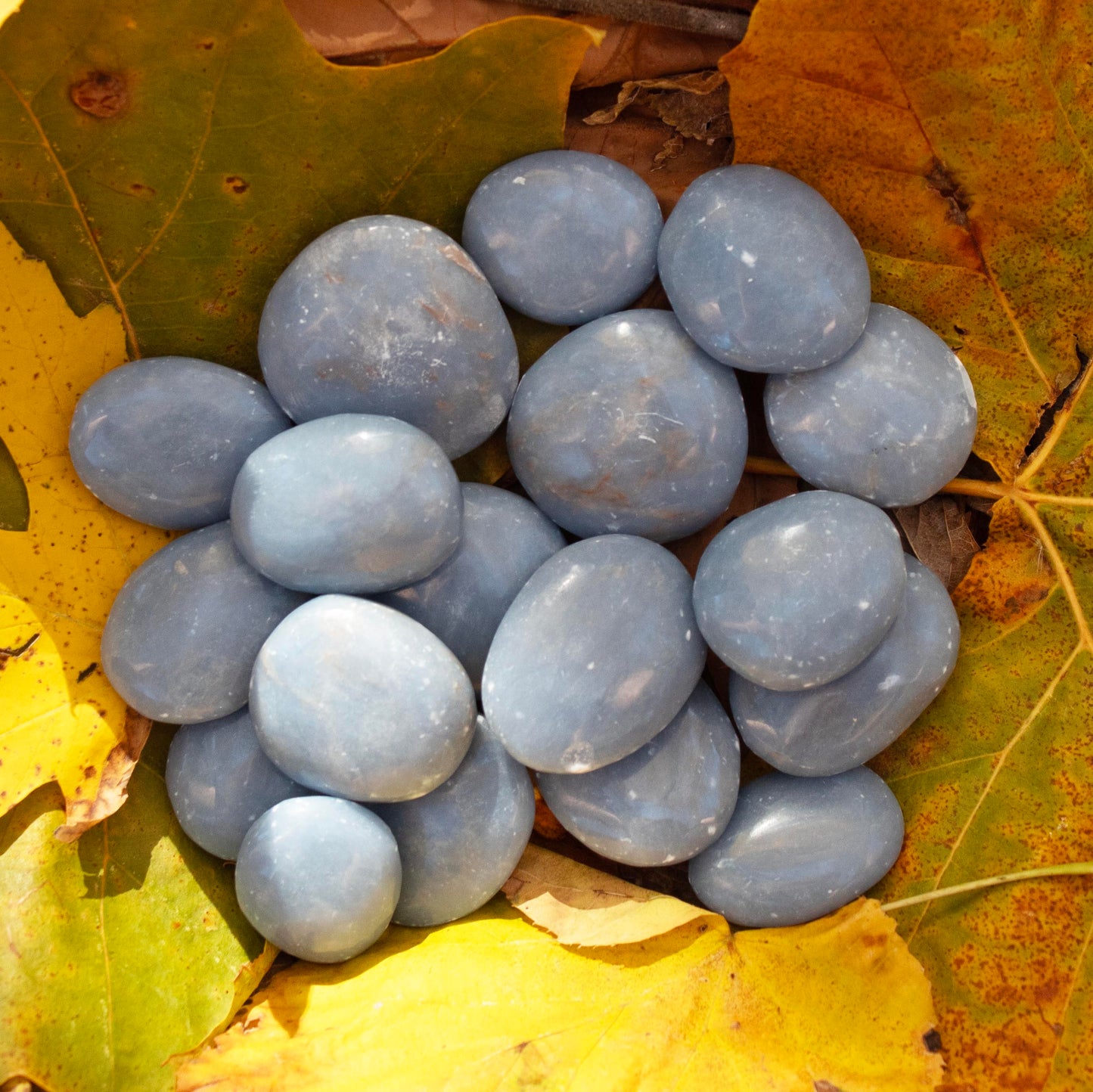 Angelite Worry Stone