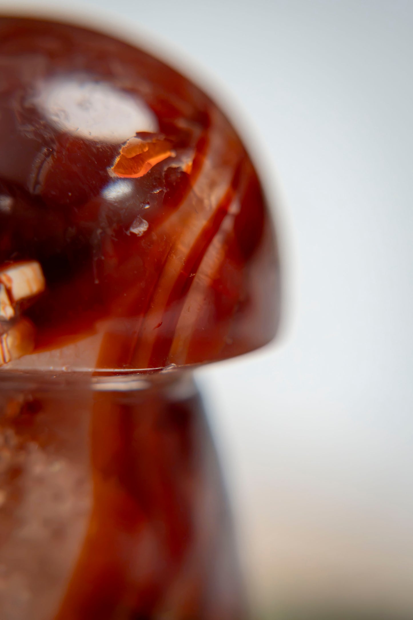 Carnelian Mushroom