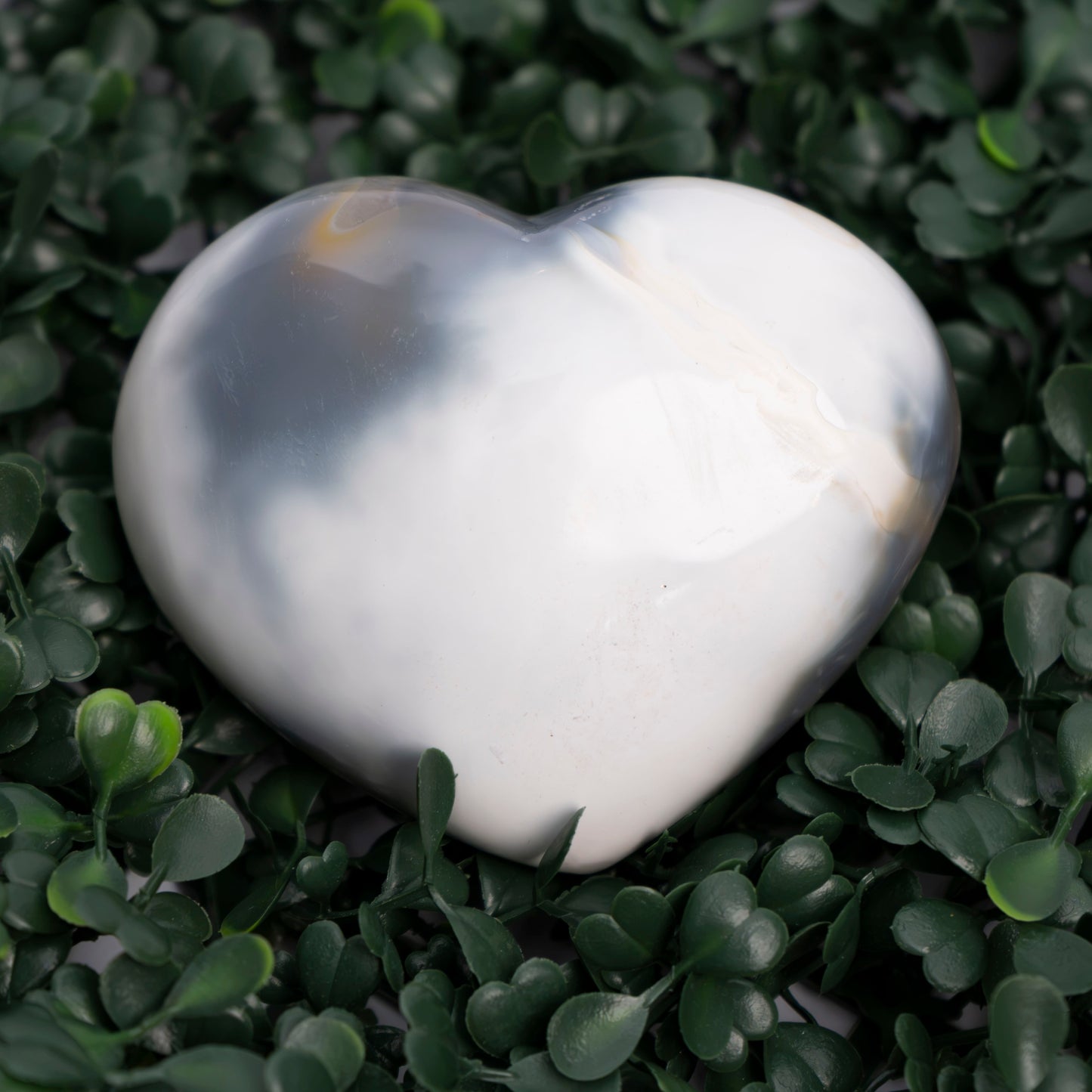 Orca Agate Heart