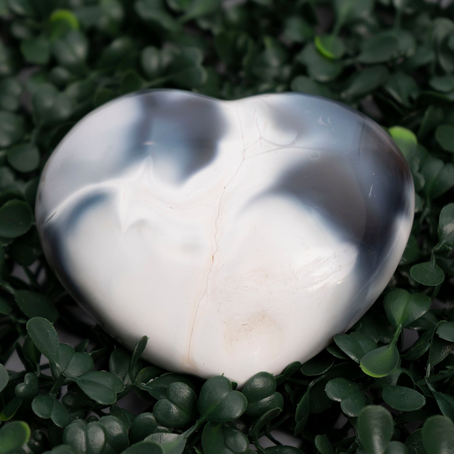 Orca Agate Heart