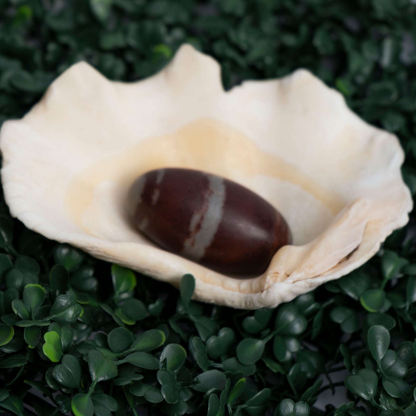 Shiva Lingam