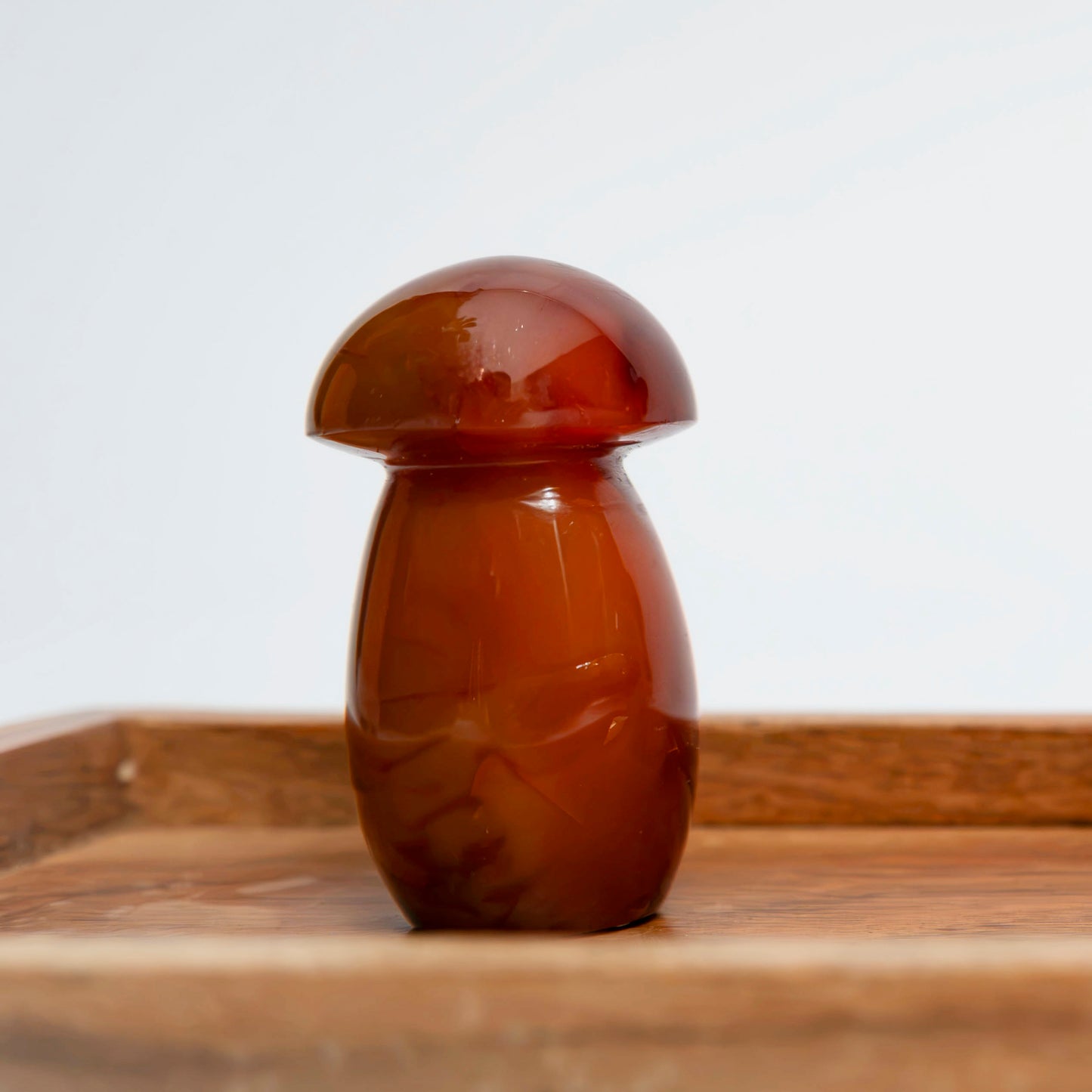Carnelian Mushroom