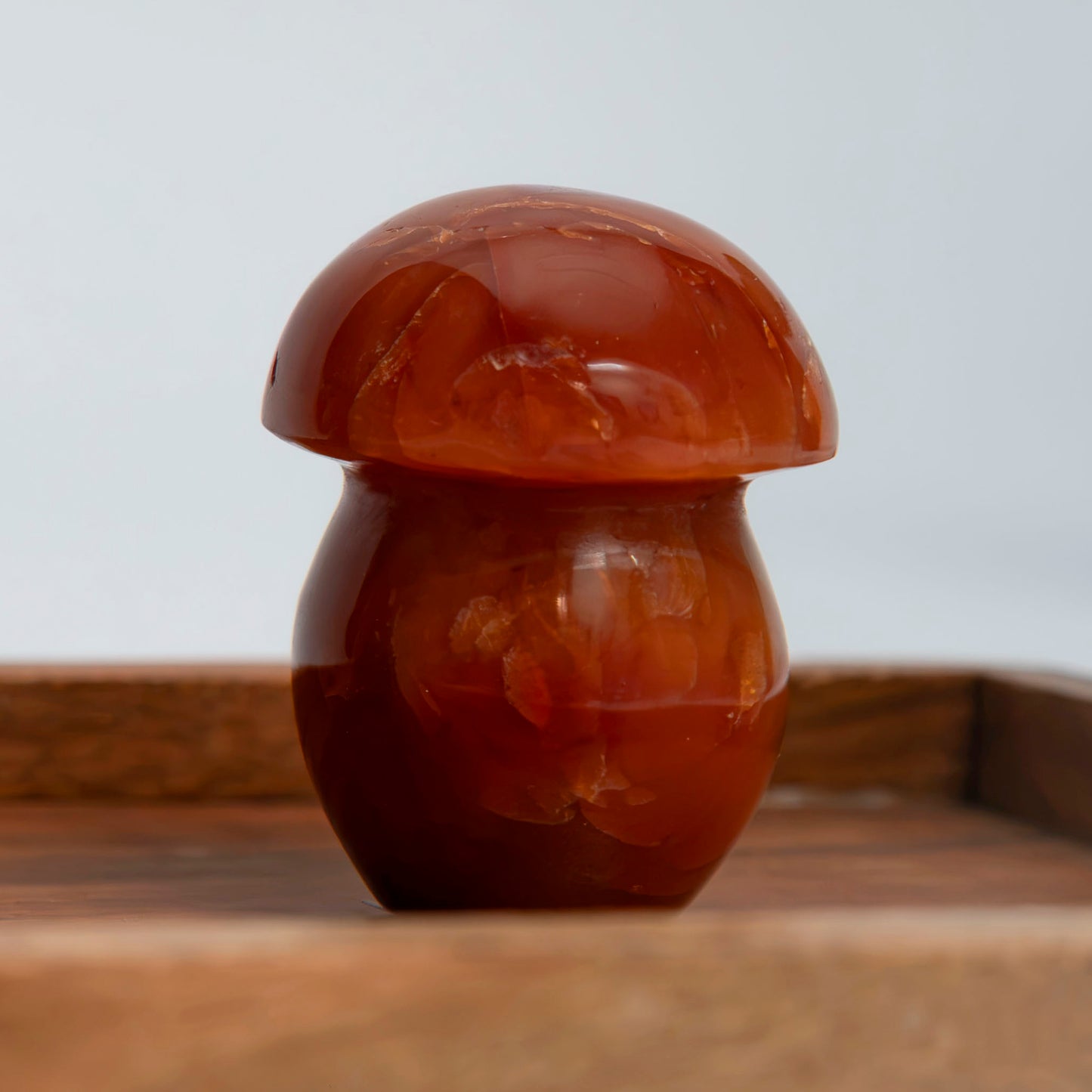 Carnelian Mushroom